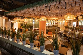 Tropischer Strand mit Palmen und türkisblauem Wasser slide-5