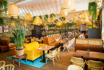 Stilvolles Café-Interieur mit Pflanzen und Sitzgelegenheiten. slide-13